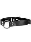 O Ring Gag Fetish Fantasy Limited Edition